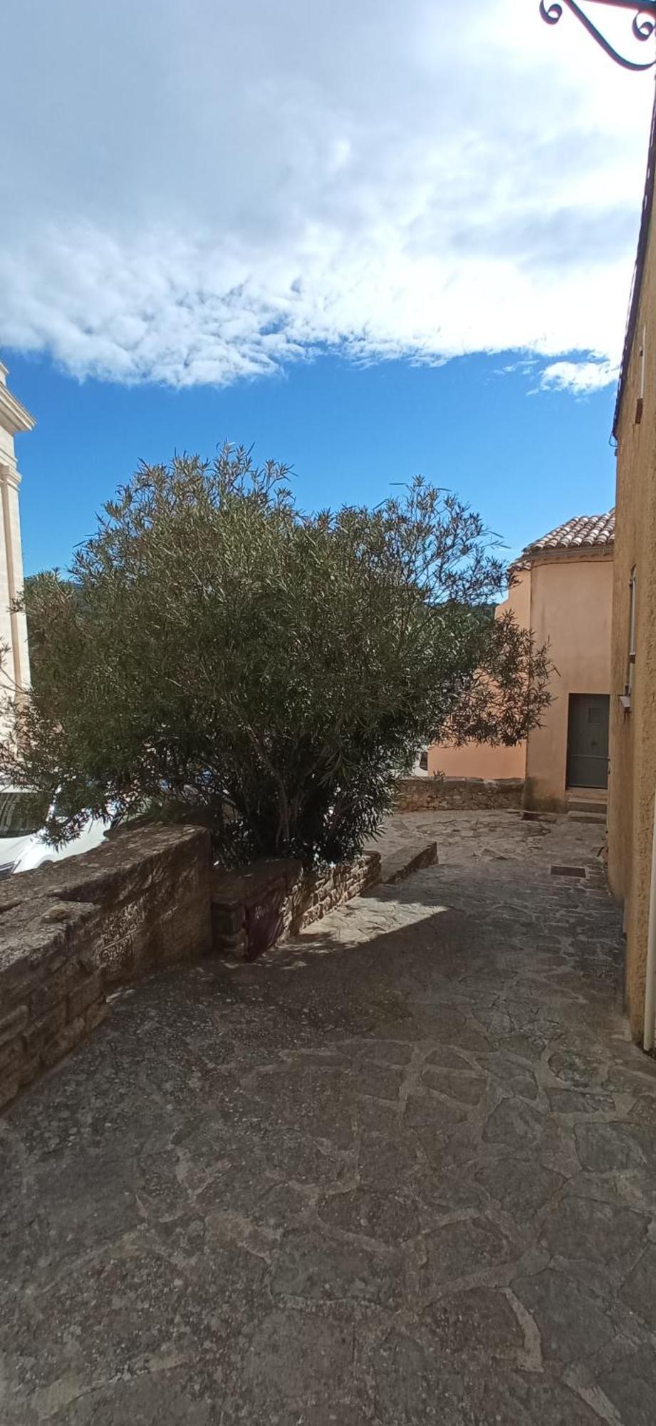 Studio Tout Confort En Provence Mont Ventoux. ベドアン エクステリア 写真