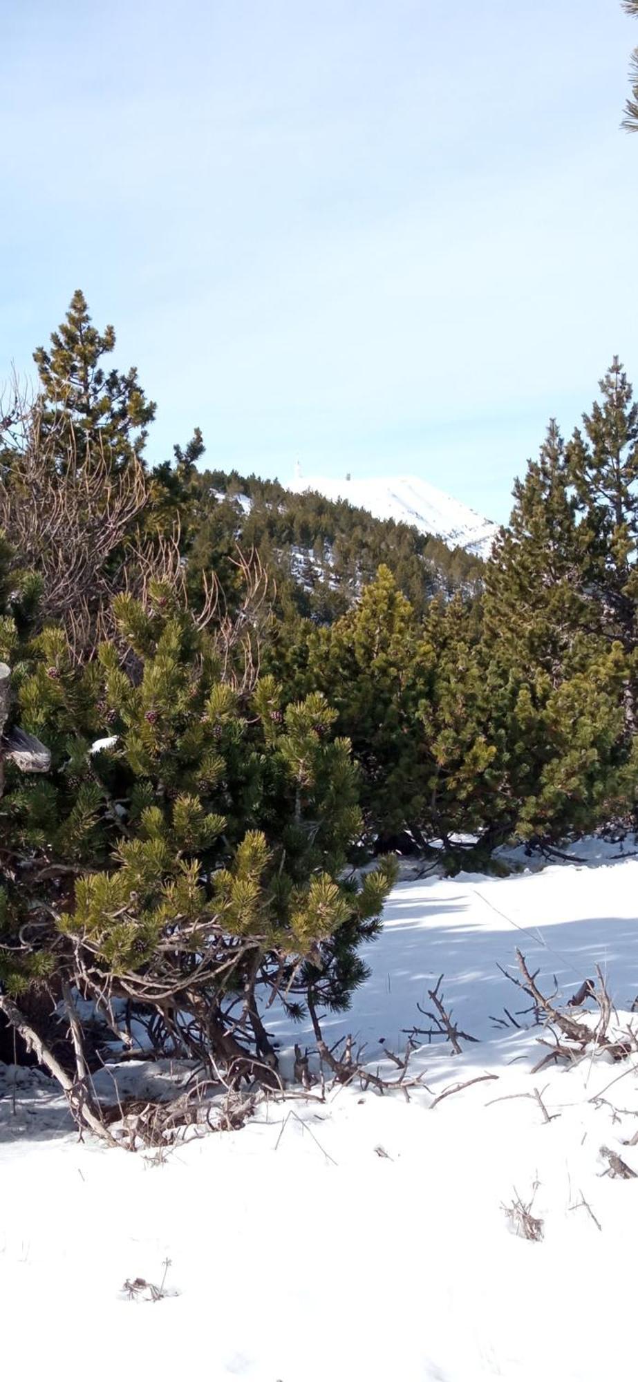 Studio Tout Confort En Provence Mont Ventoux. ベドアン エクステリア 写真
